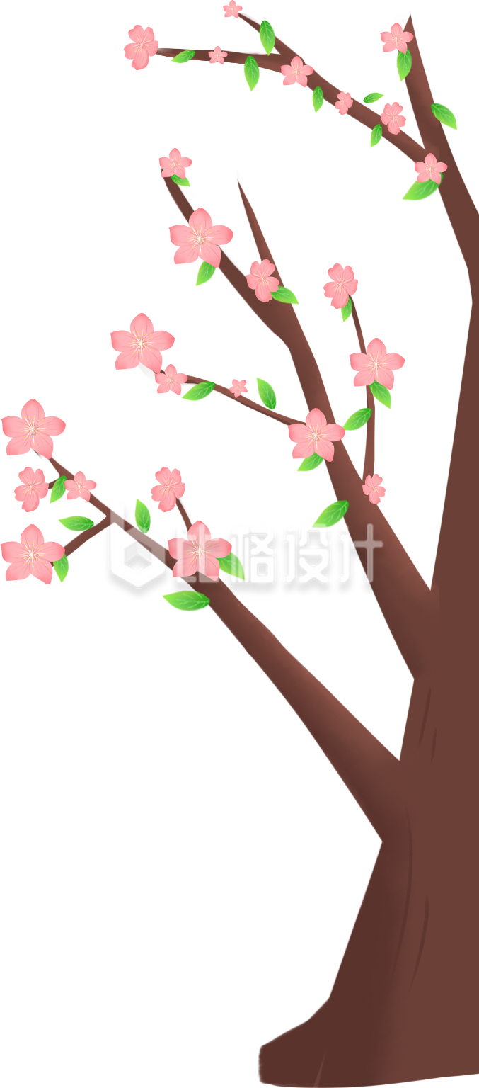 桃花植物趣味手绘