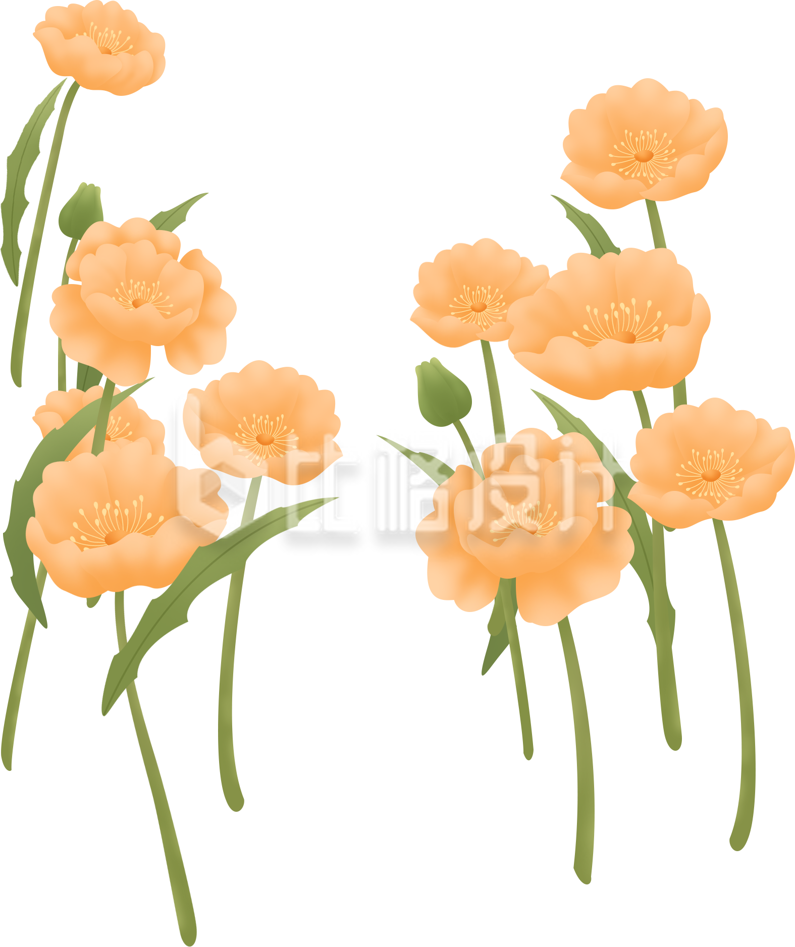 唯美橙色花朵装饰素材 打造清新氛围
