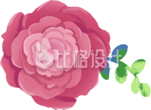 粉色玫瑰插画，适合多种宣传物料的素材