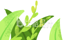清新绿植素材图 适合多种宣传物料使用 清新绿植素材图 适合多种宣传物料使用