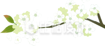清新梨花枝装饰图 适合多种宣传物料使用 清新梨花枝装饰图 适合多种宣传物料使用
