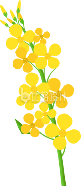鲜艳黄色花朵插图 适合多种宣传物料