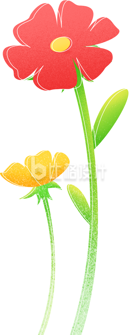 鲜艳花朵插画，适合多种宣传物料的设计