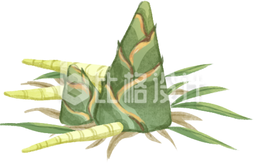 竹子手绘插画