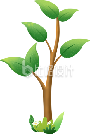 小树苗手绘植物插画