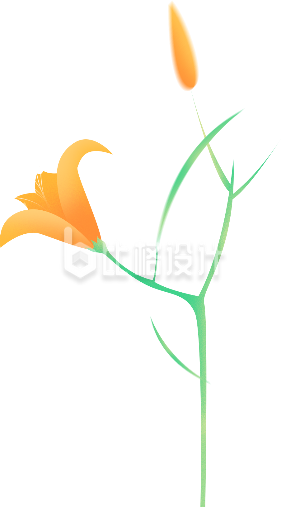黄色的小花手绘