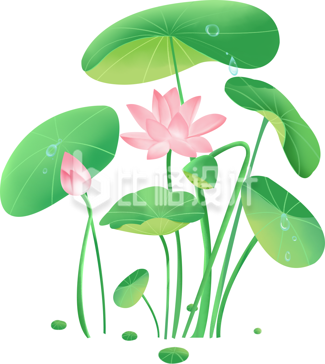 荷叶荷花手绘插画趣味