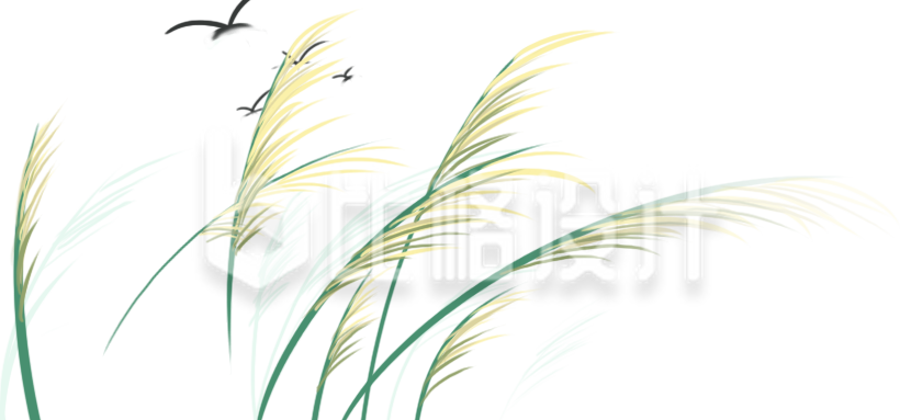 清新芦苇插画 适合多种宣传物料的百搭素材