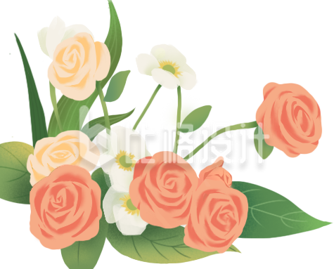植物小花手绘插画