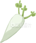 蔬菜手绘植物插画
