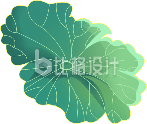 荷叶手绘插画