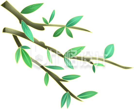 树枝手绘插画植物