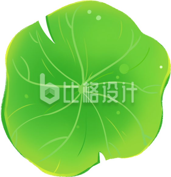 荷叶手绘