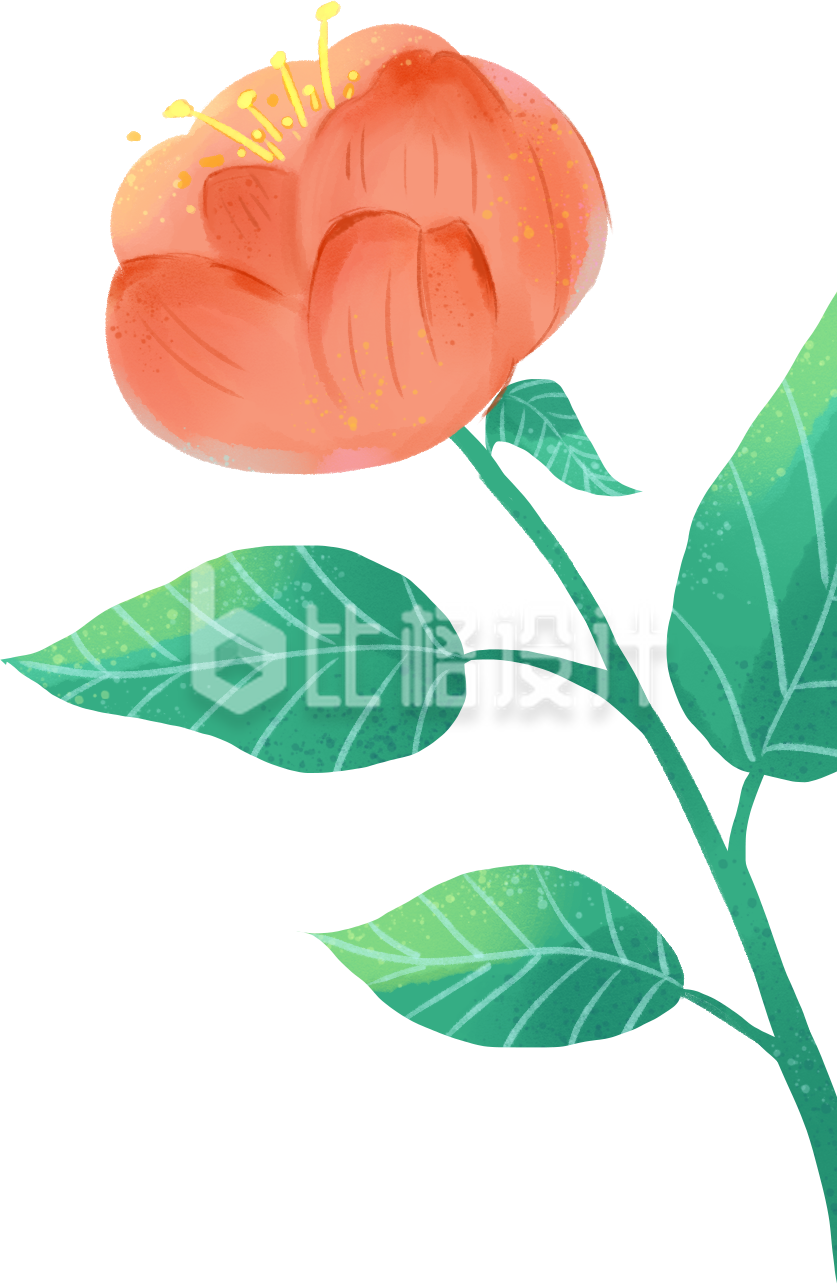 小花手绘插画植物