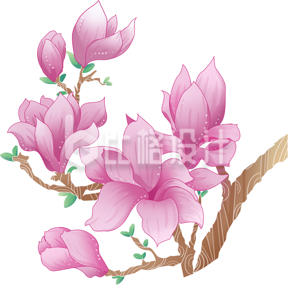 桃花手绘植物