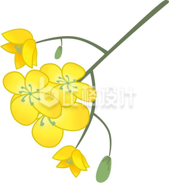 小花手绘植物
