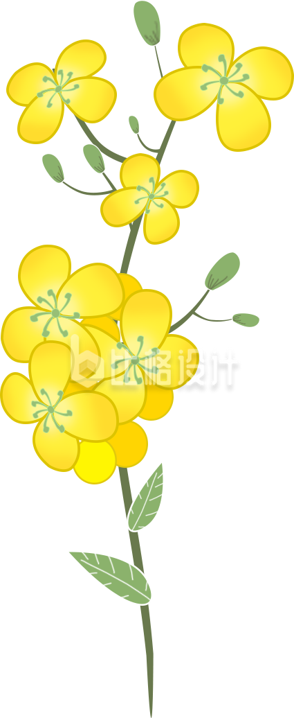 小花手绘植物