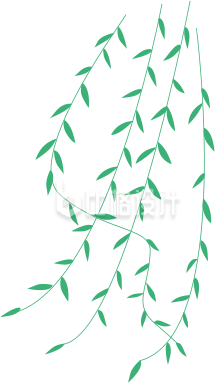清新简约柳树枝装饰素材，打造自然氛围