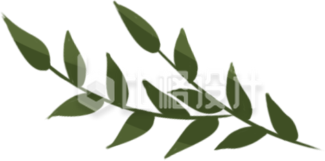 清新绿叶素材，适用于多种环保宣传物料
