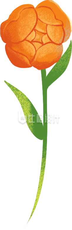植物小花手绘插画
