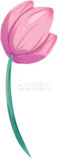 小花植物手绘插画