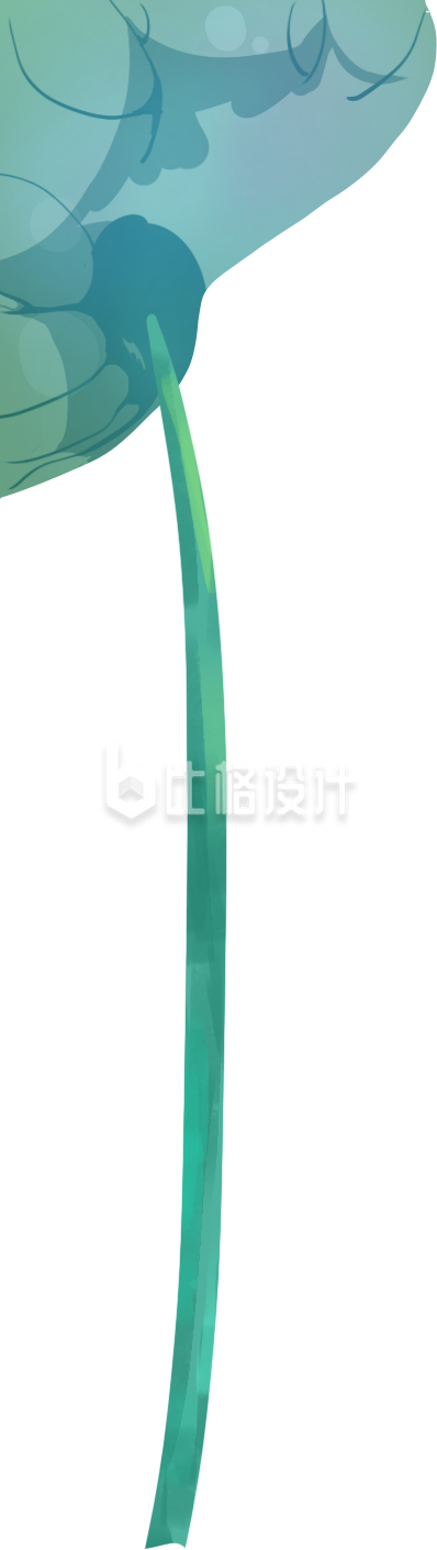 荷叶植物手绘插画