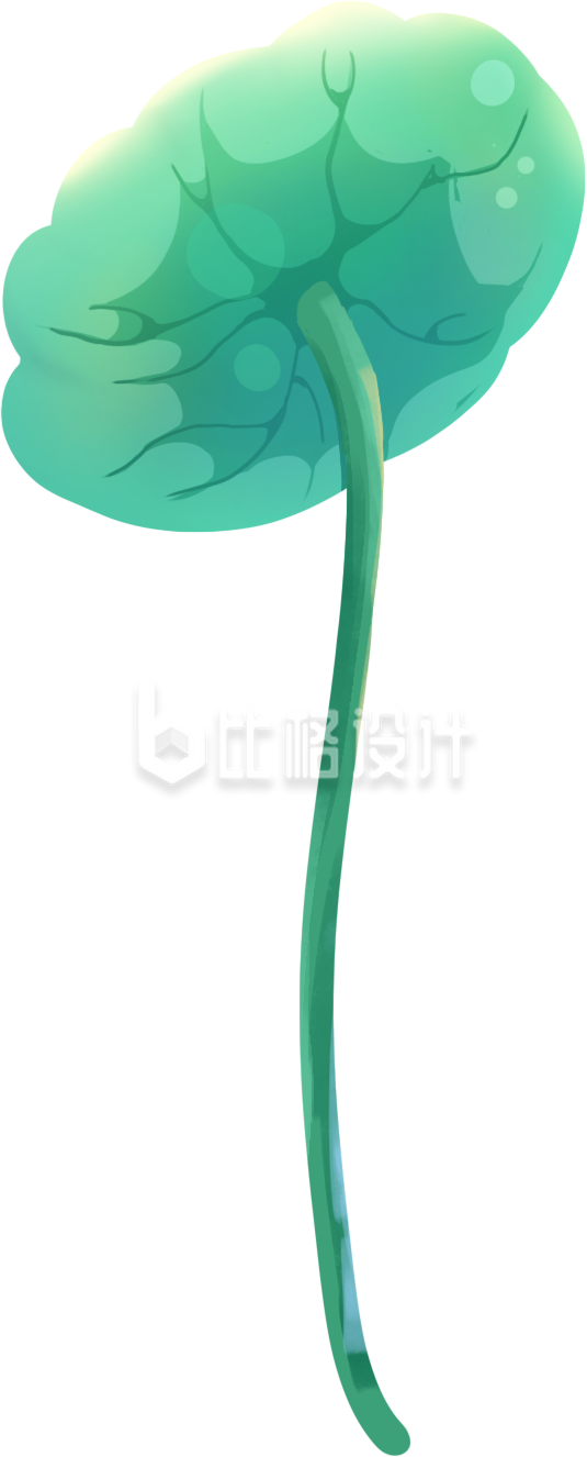 荷叶植物手绘插画