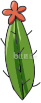 仙人掌手绘插画