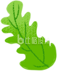 清新绿叶图案 适合多种宣传物料的素材