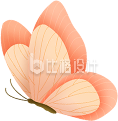 蝴蝶昆虫手绘插画