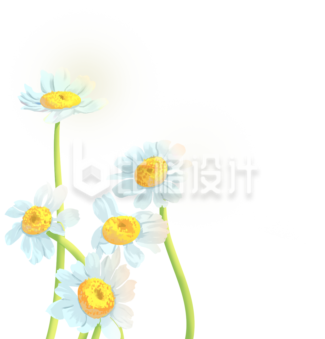小花菊花手绘插画