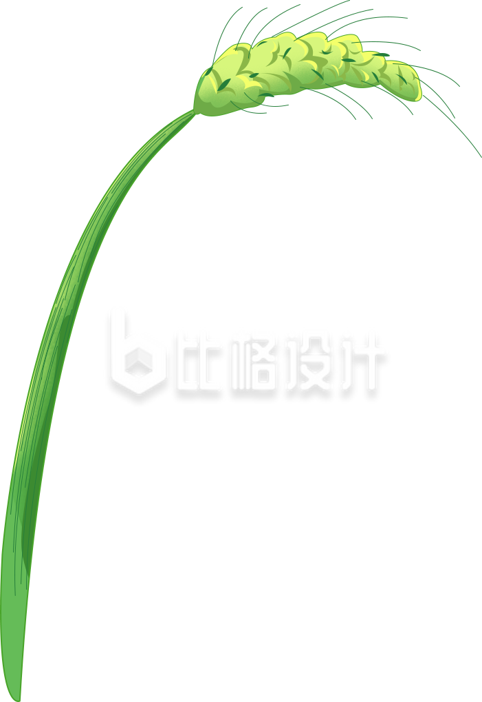 清新插画风格的绿植小麦穗宣传物料