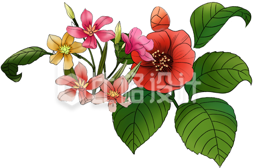 花草手绘插画植物