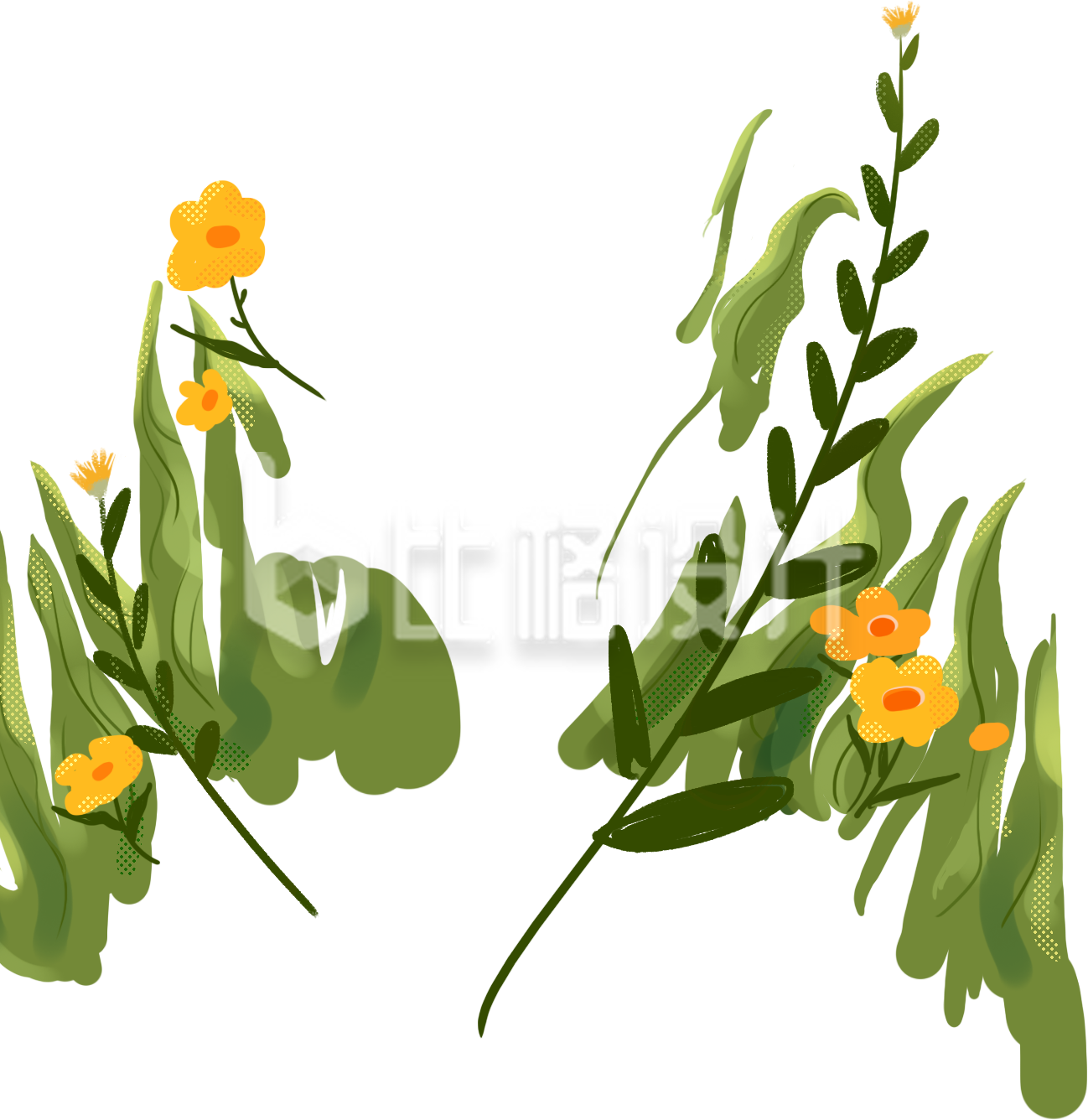 花草手绘插画