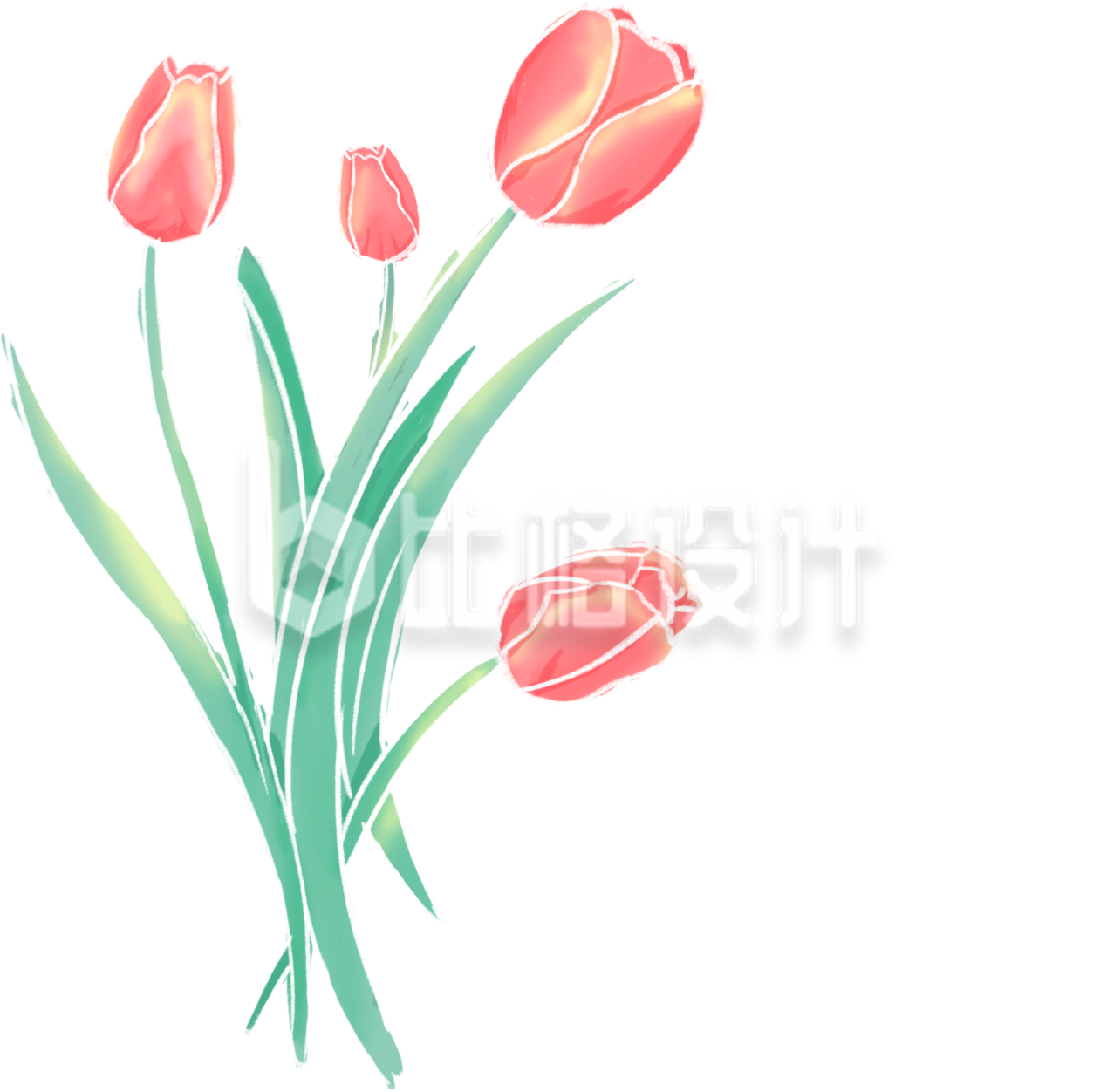 郁金香手绘植物