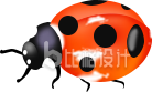 七星瓢虫昆虫手绘