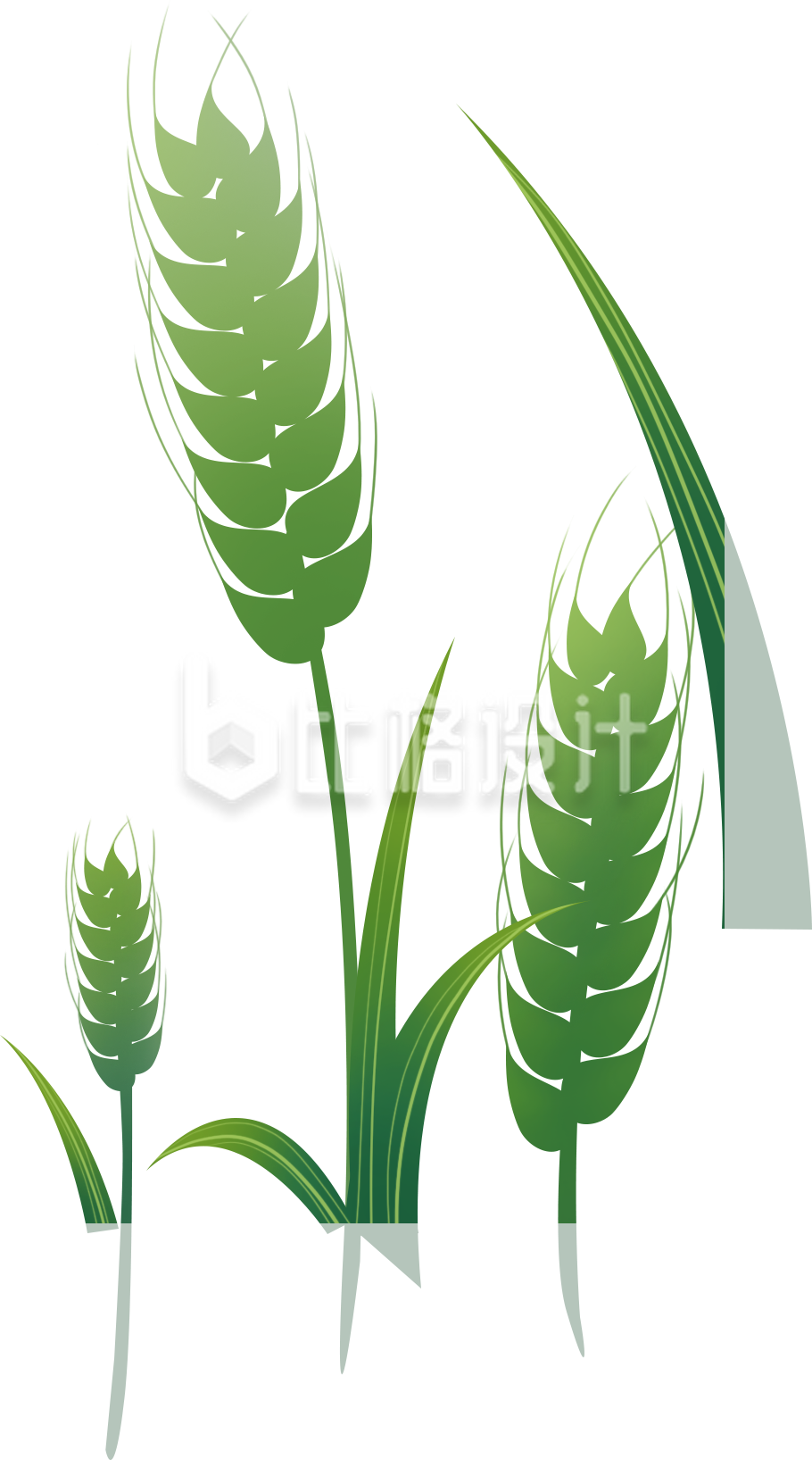 植物麦子手绘趣味