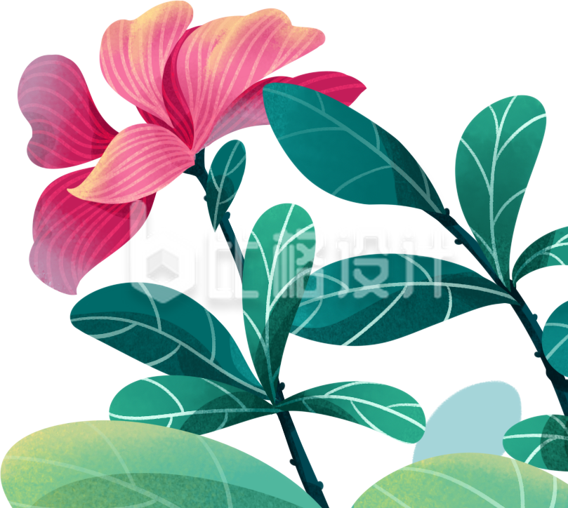 植物小花手绘插画