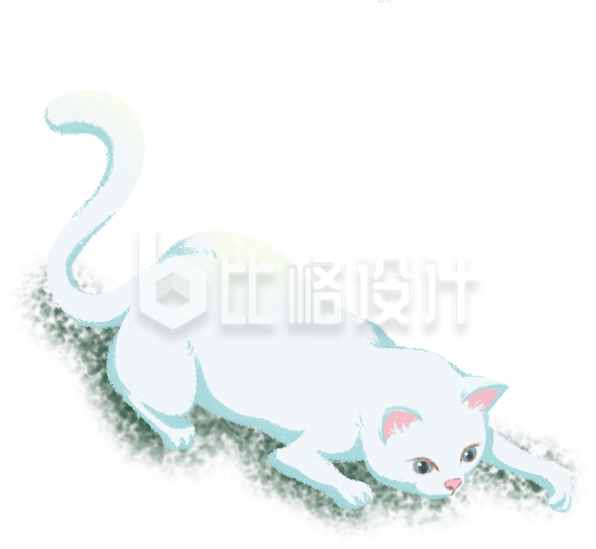 小猫动物趣味