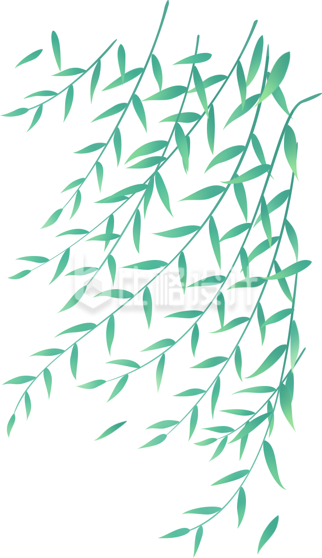 清新柳树枝叶装饰素材 为设计增添自然之美
