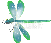 蜻蜓昆虫手绘