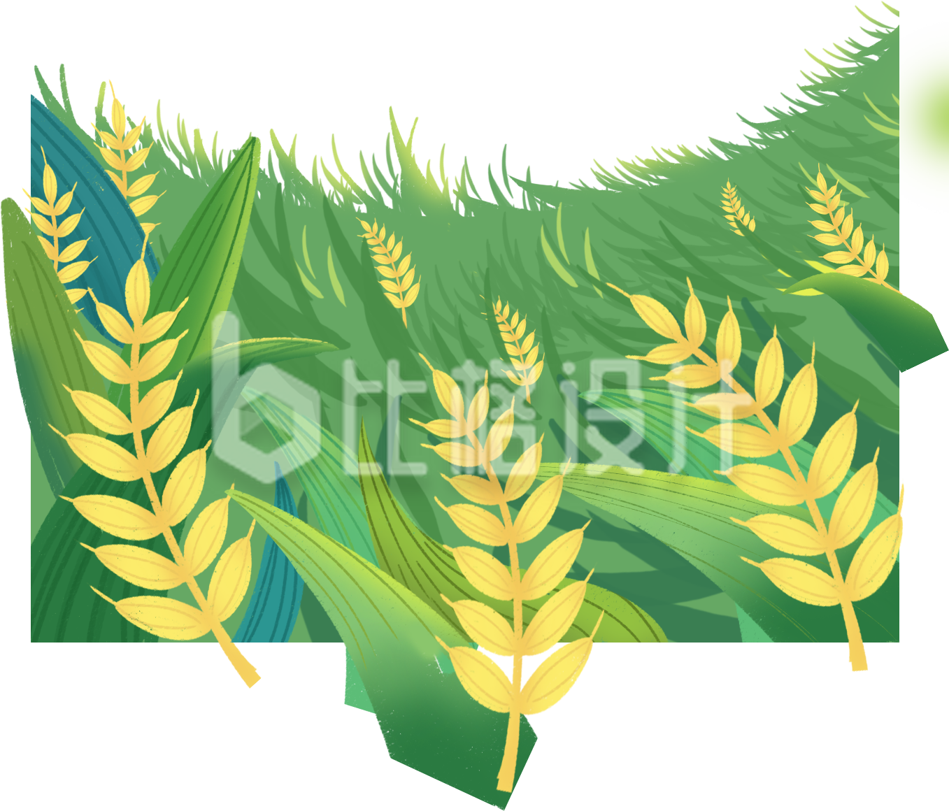 植物麦子风景食物手绘