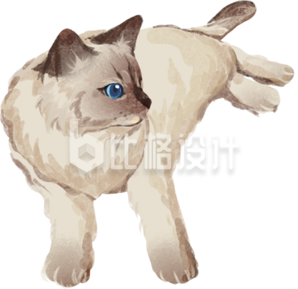 猫咪动物手绘