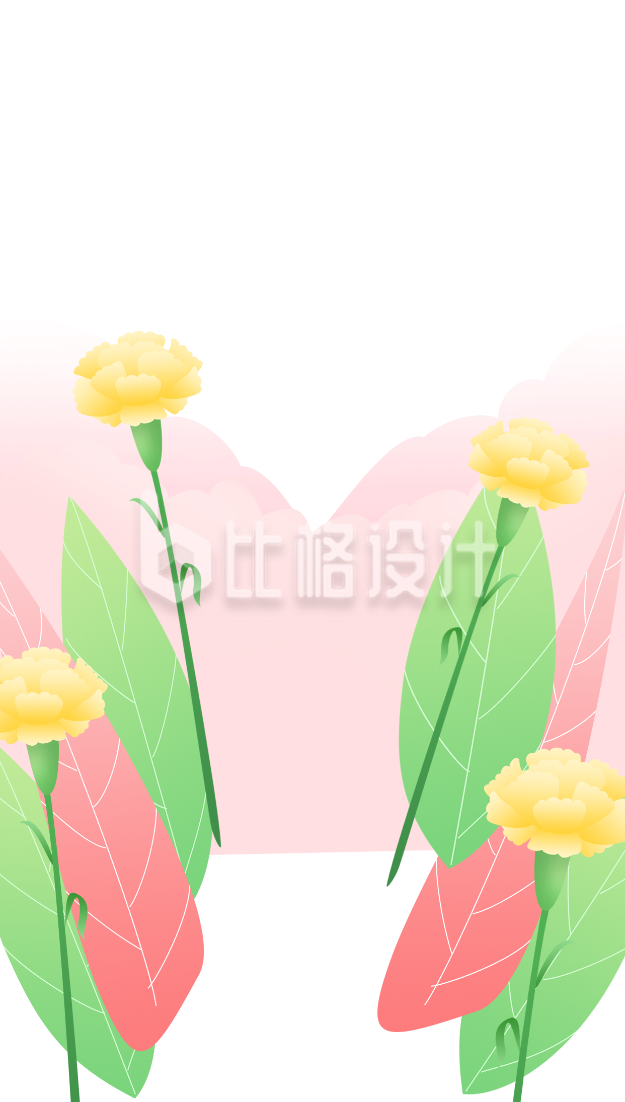 康乃馨植物手绘插画