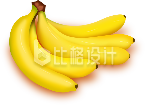 香蕉植物手绘插画
