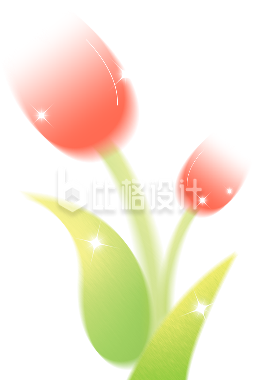 郁金香手绘插画