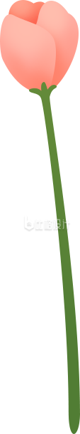 粉色花朵清新插画，适合多种宣传物料