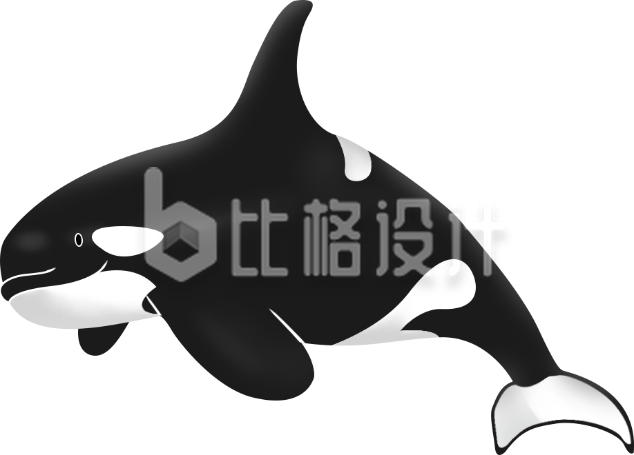 可爱的虎鲸形象图 适合海洋动物相关宣传