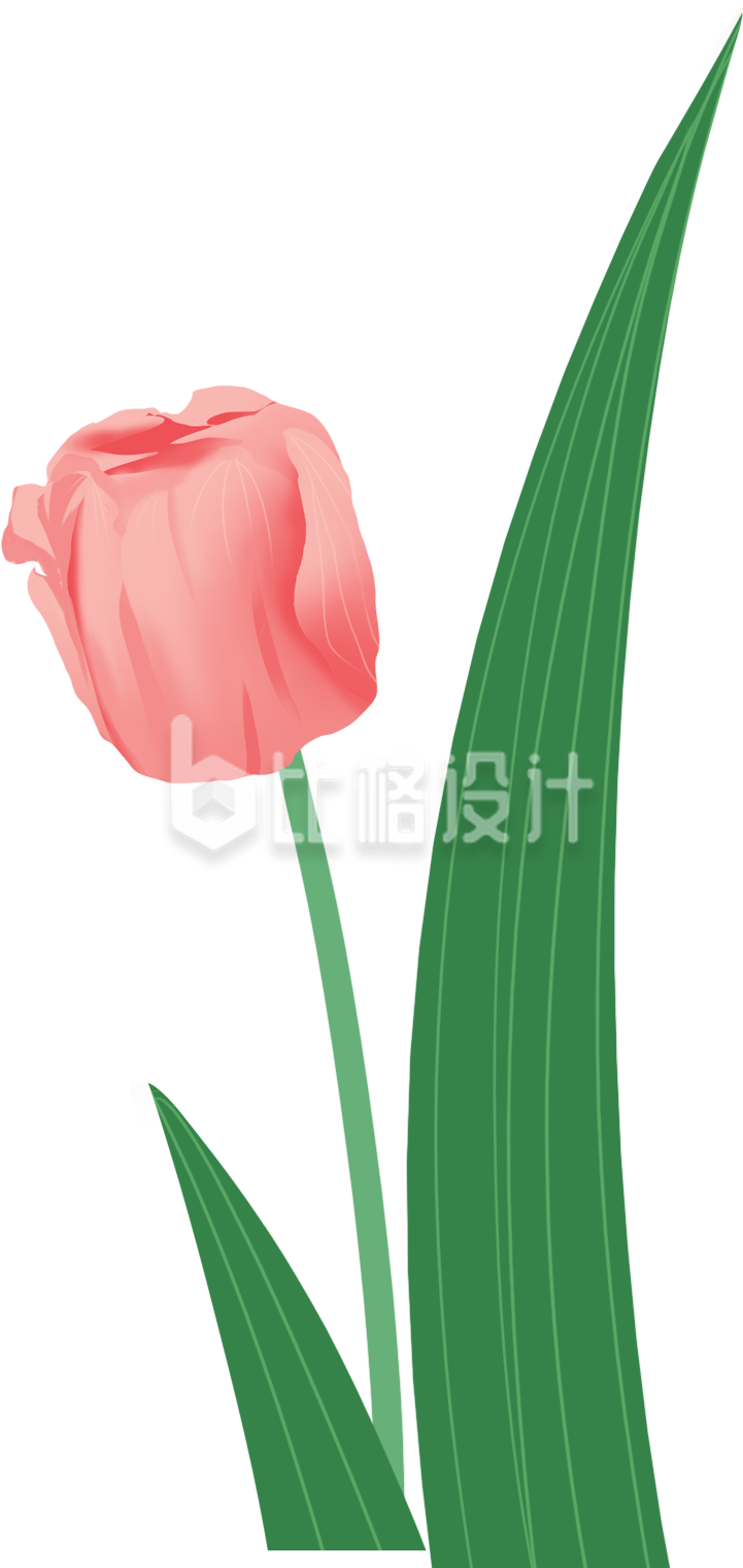郁金香小花植物手绘插画
