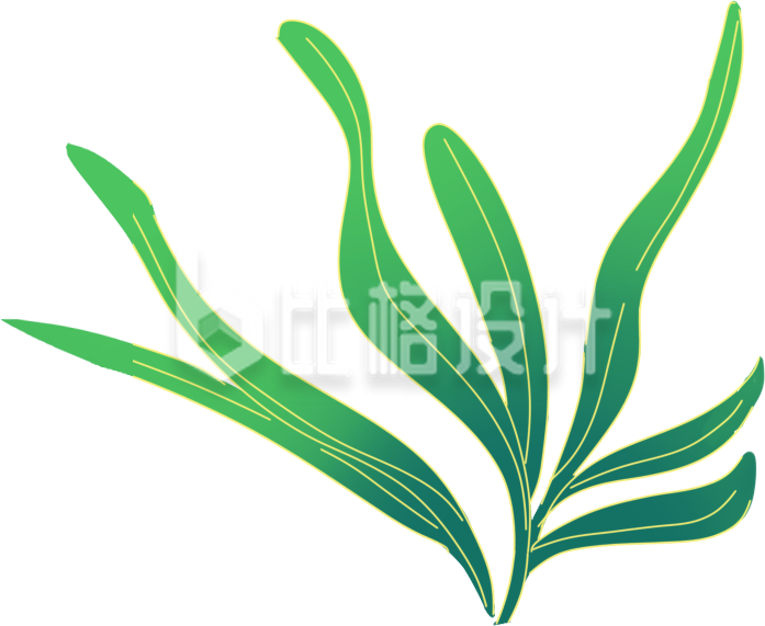 小草植物手绘